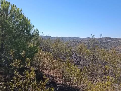 TERRENO COM 83.240 M2 - JUNTO A RIBEIRA DE ODELEITE - POSSIBILIDADE DE CONSTRUÇÃO HABITAÇÃO E TURISMO EM GALAXES - VAQUEIROS - ALCOUTIM