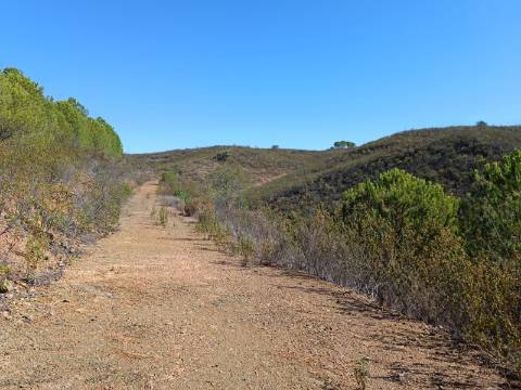 TERRENO COM 83.240 M2 - JUNTO A RIBEIRA DE ODELEITE - POSSIBILIDADE DE CONSTRUÇÃO HABITAÇÃO E TURISMO EM GALAXES - VAQUEIROS - ALCOUTIM