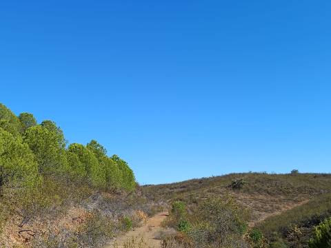 TERRENO COM 83.240 M2 - JUNTO A RIBEIRA DE ODELEITE - POSSIBILIDADE DE CONSTRUÇÃO HABITAÇÃO E TURISMO EM GALAXES - VAQUEIROS - ALCOUTIM