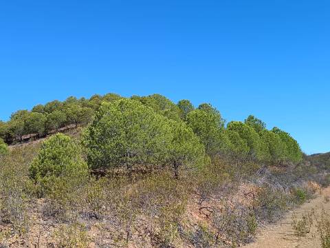 TERRENO COM 83.240 M2 - JUNTO A RIBEIRA DE ODELEITE - POSSIBILIDADE DE CONSTRUÇÃO HABITAÇÃO E TURISMO EM GALAXES - VAQUEIROS - ALCOUTIM