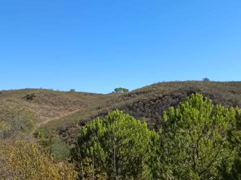 TERRENO COM 83.240 M2 - JUNTO A RIBEIRA DE ODELEITE - POSSIBILIDADE DE CONSTRUÇÃO HABITAÇÃO E TURISMO EM GALAXES - VAQUEIROS - ALCOUTIM