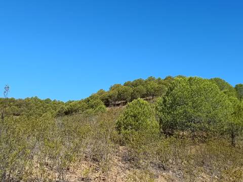 TERRENO COM 83.240 M2 - JUNTO A RIBEIRA DE ODELEITE - POSSIBILIDADE DE CONSTRUÇÃO HABITAÇÃO E TURISMO EM GALAXES - VAQUEIROS - ALCOUTIM
