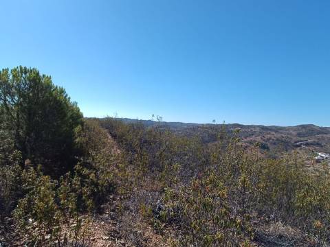 TERRENO COM 83.240 M2 - JUNTO A RIBEIRA DE ODELEITE - POSSIBILIDADE DE CONSTRUÇÃO HABITAÇÃO E TURISMO EM GALAXES - VAQUEIROS - ALCOUTIM