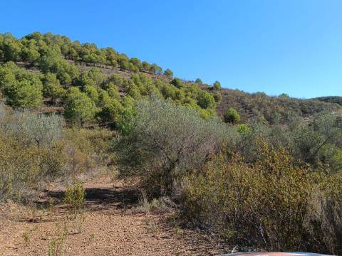 TERRENO COM 83.240 M2 - JUNTO A RIBEIRA DE ODELEITE - POSSIBILIDADE DE CONSTRUÇÃO HABITAÇÃO E TURISMO EM GALAXES - VAQUEIROS - ALCOUTIM