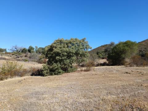 TERRENO COM 83.240 M2 - JUNTO A RIBEIRA DE ODELEITE - POSSIBILIDADE DE CONSTRUÇÃO HABITAÇÃO E TURISMO EM GALAXES - VAQUEIROS - ALCOUTIM