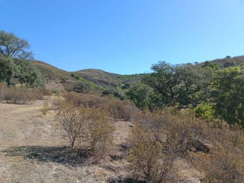 TERRENO COM 83.240 M2 - JUNTO A RIBEIRA DE ODELEITE - POSSIBILIDADE DE CONSTRUÇÃO HABITAÇÃO E TURISMO EM GALAXES - VAQUEIROS - ALCOUTIM