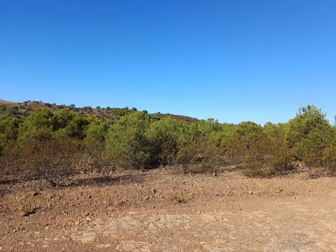 TERRENO COM 74.680 M2 - COM LAGO - POSSIBILIDADE DE CONSTRUÇÃO - TURISMO E HABITAÇÃO - PRÓXIMO A ALCARIA QUEIMADA - MONTE DAS PREGUIÇAS EM VAQUEIROS - ALCOUTIM