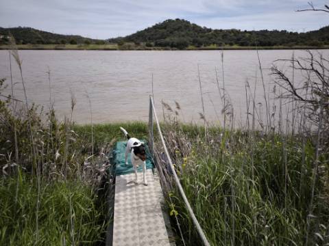 TERRENO COM 1.360 M2 - COM FURO - ÁGUA E ELETRICIDADE - JUNTO AO RIO GUADIANA - FOZ DE ODELEITE - CASTRO MARIM - ALGARVE