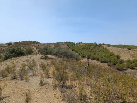 TERRENO RUSTICO COM 6.720 M2 - PRÓXIMO DA BARRAGEM DO BELICHE EM ALCARIAS GRANDES - CASTRO MARIM - ALGARVE