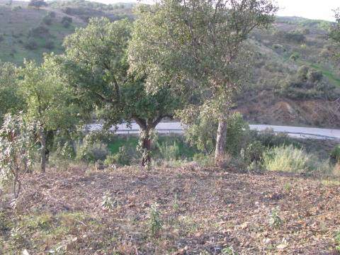 TERRENO RÚSTICO COM 3.520 M2 - CORTE DO GAGO - AZINHAL - CASTRO MARIM - ALGARVE