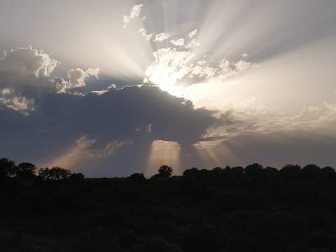 TERRENO RÚSTICO COM 3.520 M2 - CORTE DO GAGO - AZINHAL - CASTRO MARIM - ALGARVE