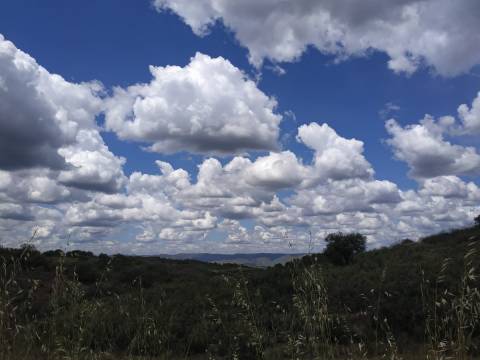 TERRENO RÚSTICO COM 3.520 M2 - CORTE DO GAGO - AZINHAL - CASTRO MARIM - ALGARVE