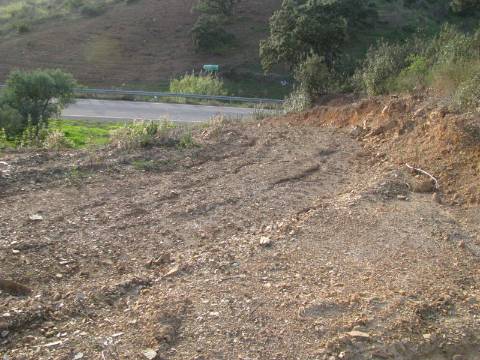 TERRENO RÚSTICO COM 3.520 M2 - CORTE DO GAGO - AZINHAL - CASTRO MARIM - ALGARVE