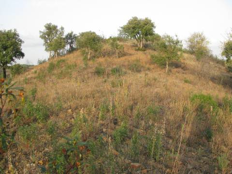 TERRENO RÚSTICO COM 3.520 M2 - CORTE DO GAGO - AZINHAL - CASTRO MARIM - ALGARVE