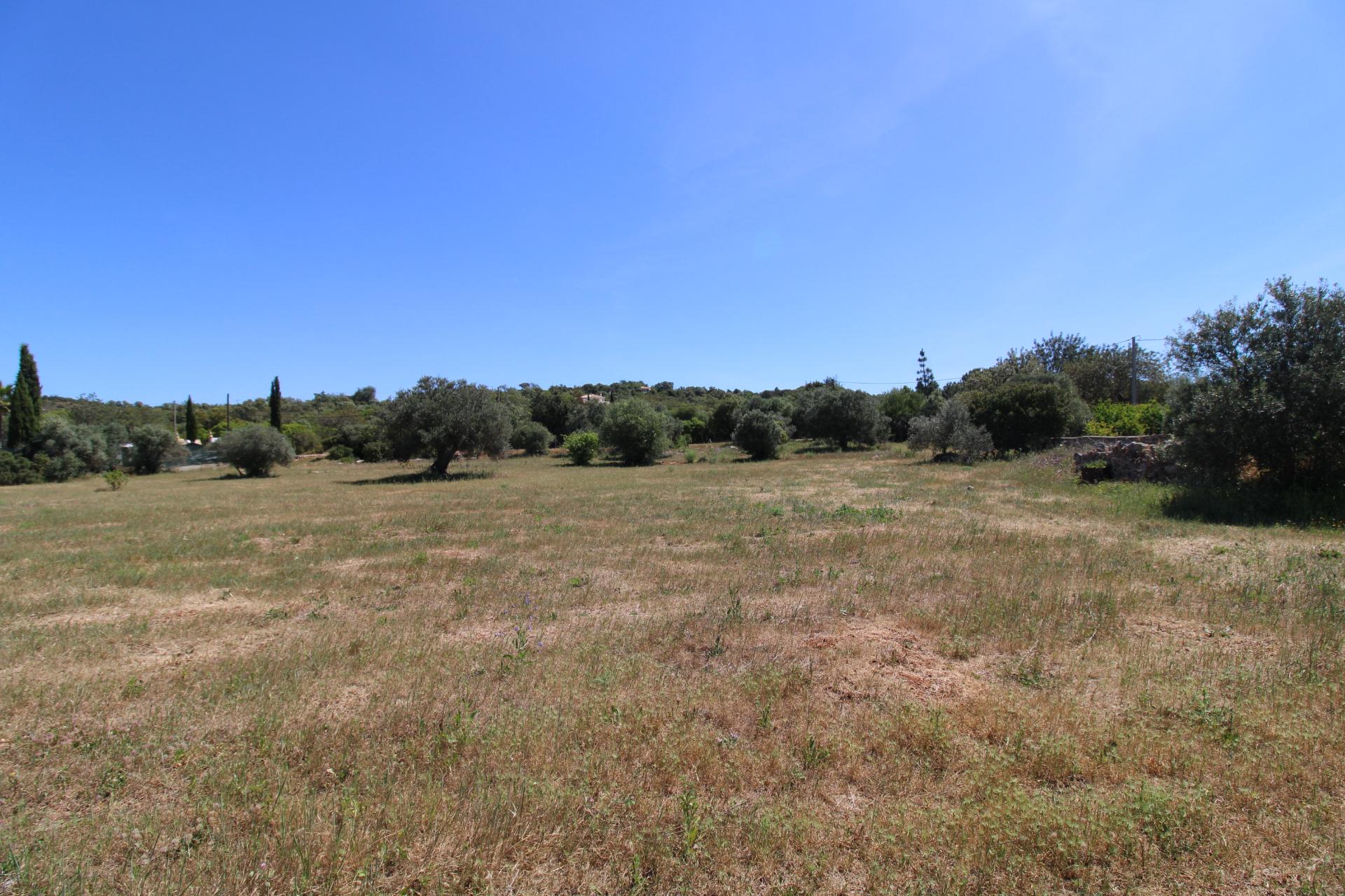 Terreno Rustico