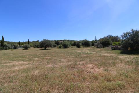 Terreno Rustico