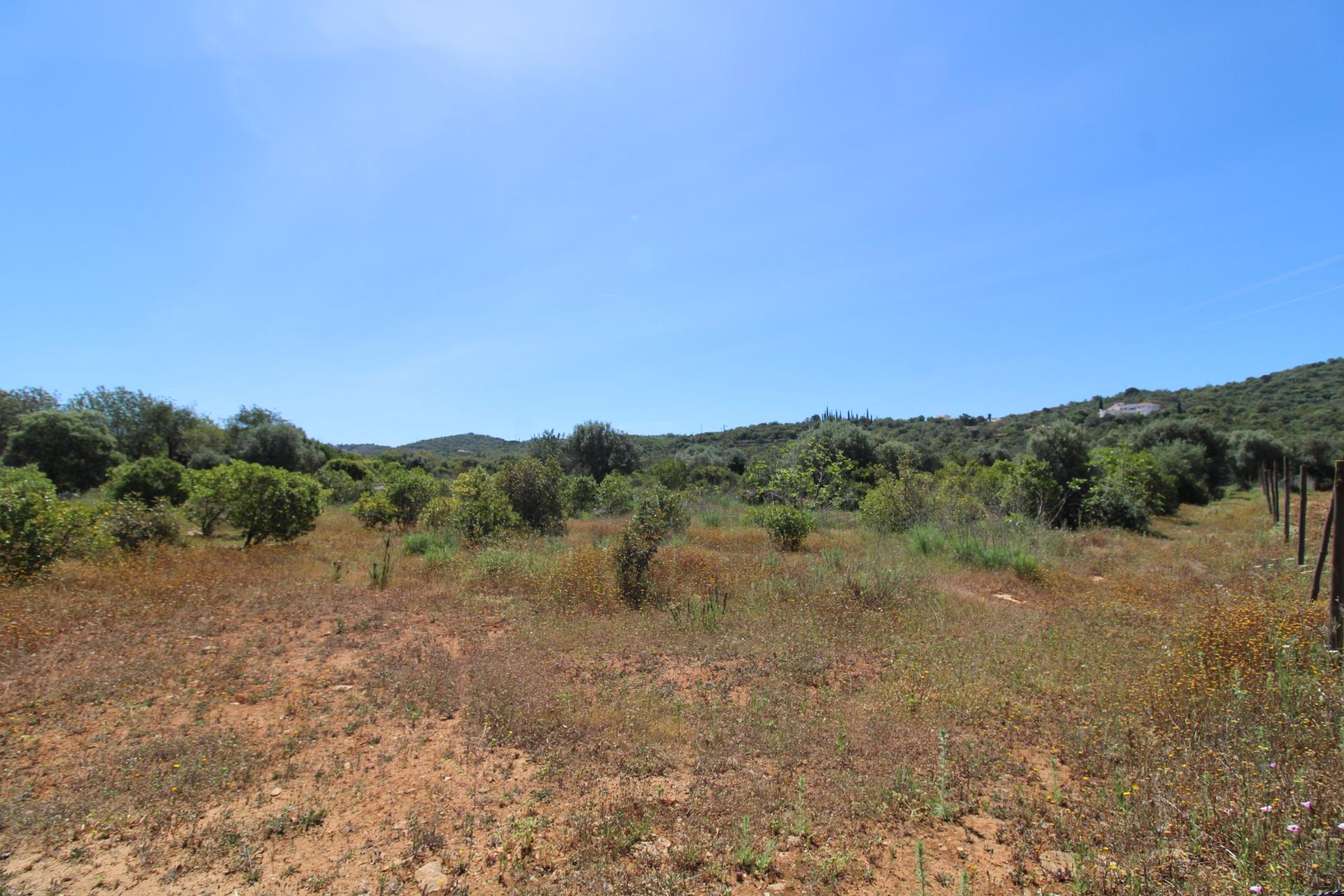 Terreno Rustico
