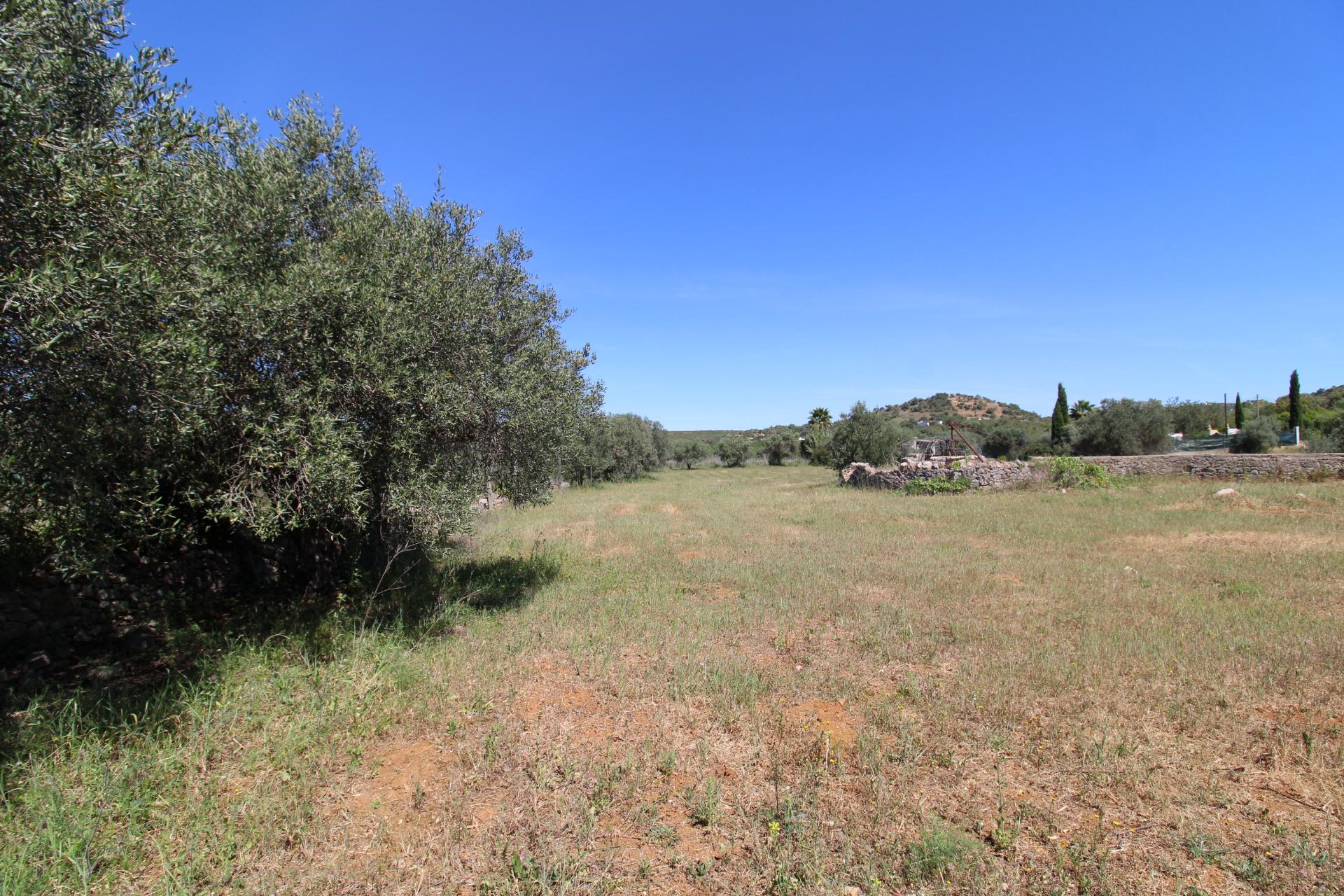 Terreno Rustico
