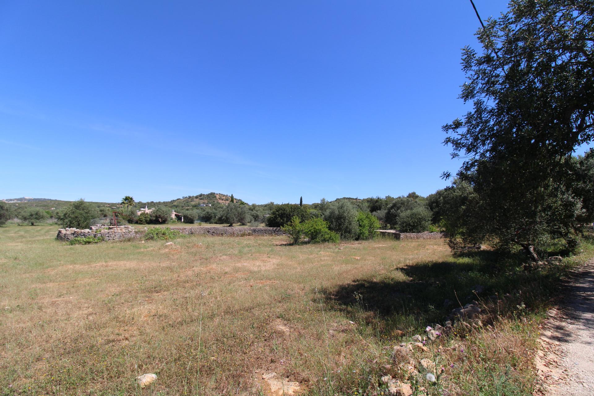 Terreno Rustico