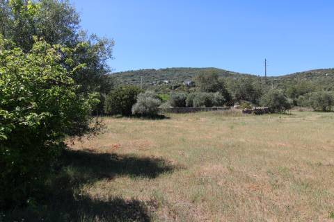 Terreno Rustico