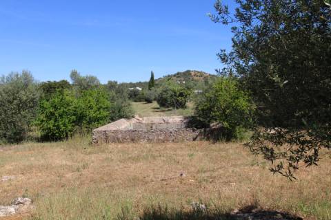 Terreno Rustico