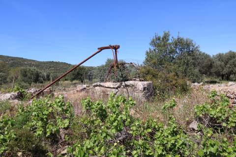 Terreno Rustico