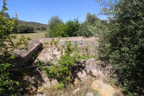 Terreno Rustico