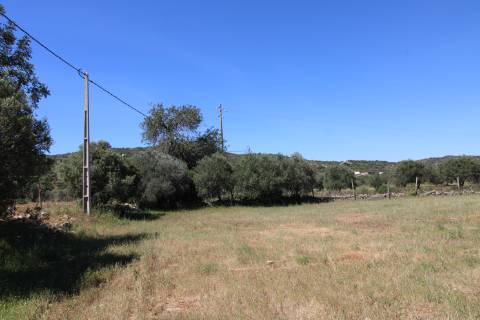 Terreno Rustico