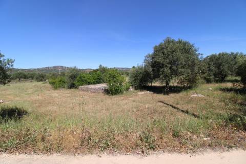 Terreno Rustico