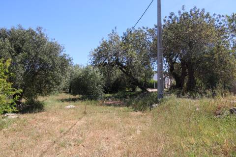 Terreno Rustico