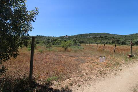 Terreno Rustico