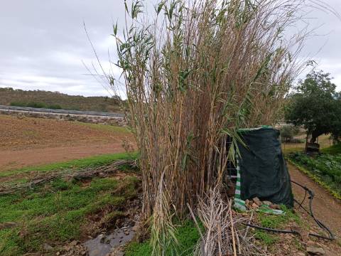 TERRENO COM 35.120 M2 - POÇO - ÁGUA - COM POSSIBILIDADE DE CONSTRUIR UM ARMAZÉM - CORTE DO GAGO - CASTRO MARIM - ALGARVE