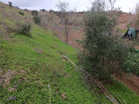 TERRENO COM 35.120 M2 - POÇO - ÁGUA - COM POSSIBILIDADE DE CONSTRUIR UM ARMAZÉM - CORTE DO GAGO - CASTRO MARIM - ALGARVE