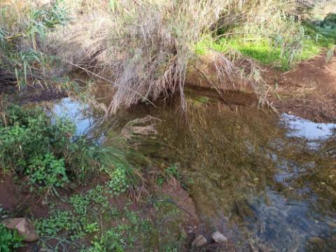 TERRENO COM 23.440 M2 - COM ESTUFAS - LINHA D'AGUA - TANOEIRO - CASTRO MARIM - ALGARVE