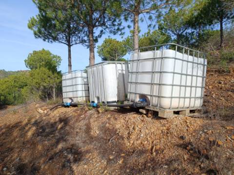 TERRENO COM 23.440 M2 - COM ESTUFAS - LINHA D'AGUA - TANOEIRO - CASTRO MARIM - ALGARVE