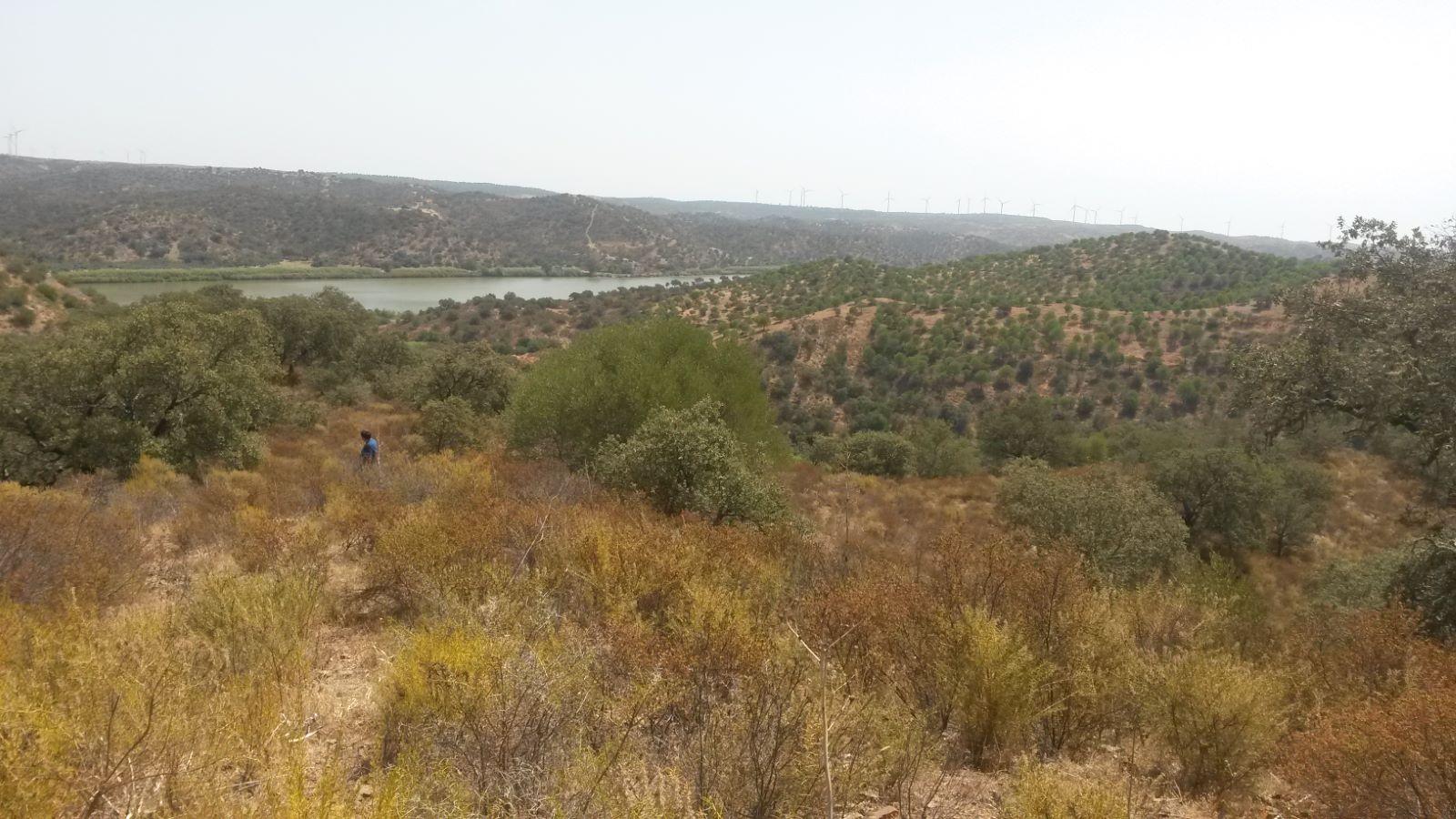 Terreno Rústico com 17.400 m2 vista rio Guadiana no Álamo