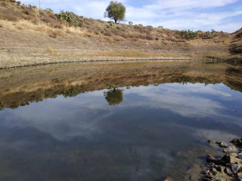 TERRENO MISTO COM 1.200 M2 ÁREA URBANA E 12.7 HECTARES DE TERRENO COM LAGO PRIVADO EM BOTELHAS - CASTRO MARIM