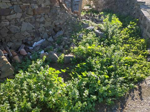 MORADIA T3 - COM SUITE - COM PROJECTO APROVADO - RECONSTRUIR - ALCARIAS GRANDES - CASTRO MARIM - ALGARVE
