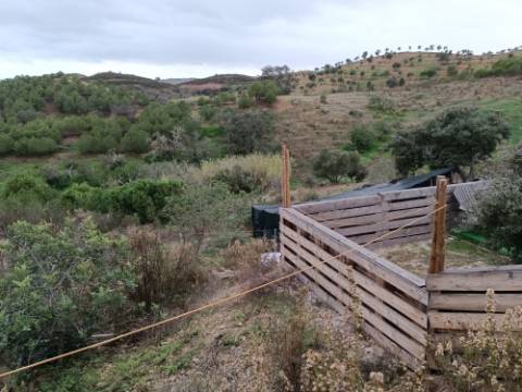 TERRENO COM 11.360 M2 - COM POÇO - SISTEMA SOLAR INTEGRADO - REGA - ALCARIAS GRANDES - AZINHAL - CASTRO MARIM - ALGARVE