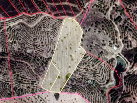 TERRENO COM 11.360 M2 - COM POÇO - SISTEMA SOLAR INTEGRADO - REGA - ALCARIAS GRANDES - AZINHAL - CASTRO MARIM - ALGARVE
