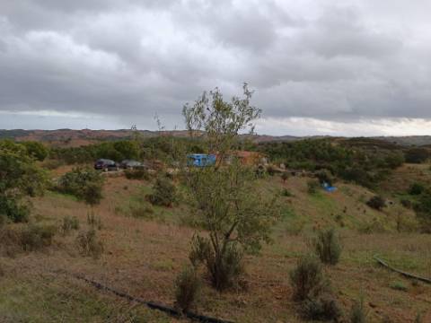 TERRENO COM 11.360 M2 - COM POÇO - SISTEMA SOLAR INTEGRADO - REGA - ALCARIAS GRANDES - AZINHAL - CASTRO MARIM - ALGARVE