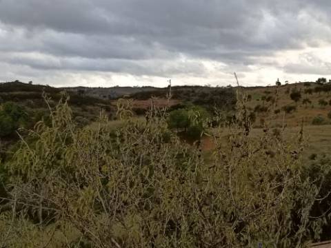 TERRENO COM 11.360 M2 - COM POÇO - SISTEMA SOLAR INTEGRADO - REGA - ALCARIAS GRANDES - AZINHAL - CASTRO MARIM - ALGARVE