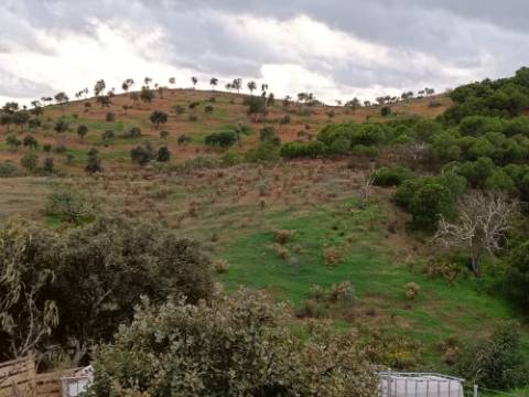 TERRENO COM 11.360 M2 - COM POÇO - SISTEMA SOLAR INTEGRADO - REGA - ALCARIAS GRANDES - AZINHAL - CASTRO MARIM - ALGARVE