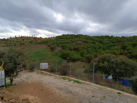 TERRENO COM 11.360 M2 - COM POÇO - SISTEMA SOLAR INTEGRADO - REGA - ALCARIAS GRANDES - AZINHAL - CASTRO MARIM - ALGARVE