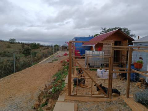 TERRENO COM 11.360 M2 - COM POÇO - SISTEMA SOLAR INTEGRADO - REGA - ALCARIAS GRANDES - AZINHAL - CASTRO MARIM - ALGARVE
