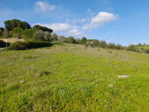 Terreno Rio Maior-Santarem