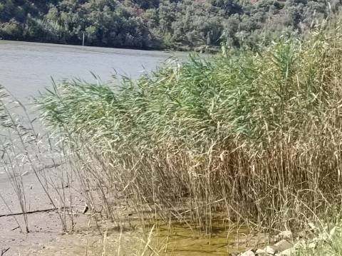 TERRENO RUSTICO COM 760 M2 JUNTO AO RIO GUADIANA - PONTAL - ALCOUTIM