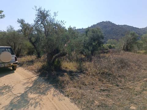 TERRENO RUSTICO COM 760 M2 JUNTO AO RIO GUADIANA - PONTAL - ALCOUTIM
