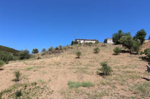 Prédio Misto na Serra de Tavira, com ruína de 110m2 e terreno de 1.320m2