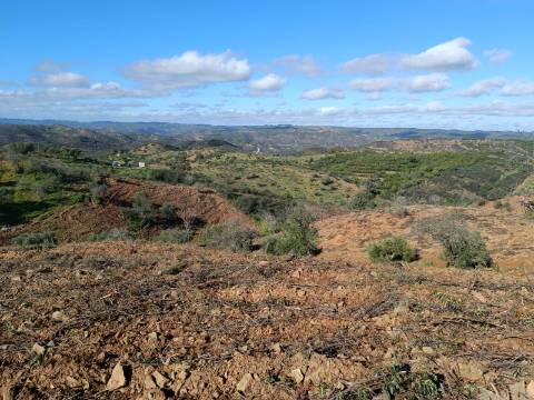 TERRENO COM 31.200 M2 - POSSIBILIDADE DE CONSTRUÇÃO DE ARMAZÉM - APOIO AGRÍCOLA - FERNÃO GIL - ODELEITE - CASTRO MARIM